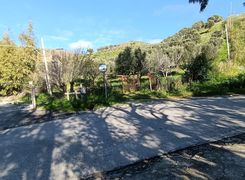 Terreno agricolo in vendita