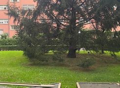 Trilocale in affitto