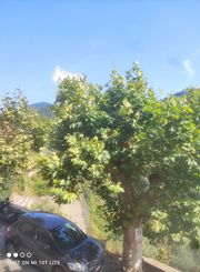 Appartamento in vendita