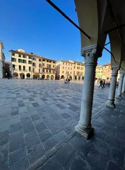 Negozio/Locale commerciale in affitto