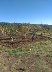 Terreno agricolo in vendita