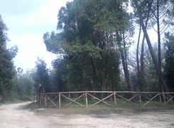 Appartamento in affitto