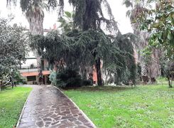Bilocale in affitto