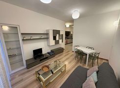 Trilocale in affitto