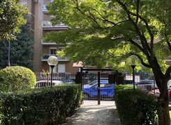 Trilocale in affitto