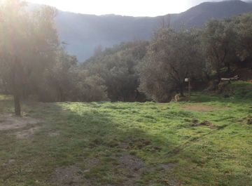 Terreno agricolo in Via I. Lucifredi a Balestrino in zona Centro