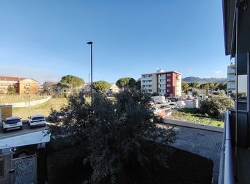 Vista