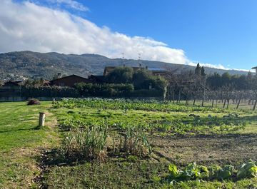 Terreni agricoli in vendita a Arezzo Casa.it