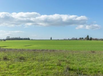 Terreni agricoli in vendita a Arezzo Casa.it