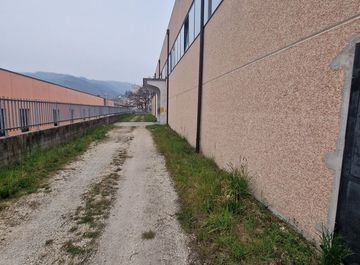 Vista