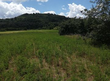 Terreni agricoli in vendita a Arezzo Casa.it