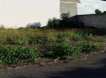 Terreno agricolo in Via Tagliamento a San Donaci