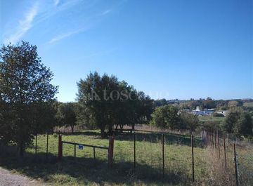Terreno agricolo in Via del casale d'Antoni a Roma in zona Casal Selce, Casalotti, Selva Candida, Selva Nera
