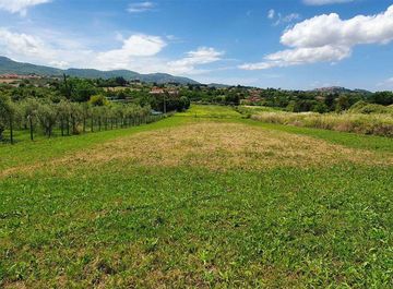 Terreno agricolo in Via del Carzolese a San Cesareo