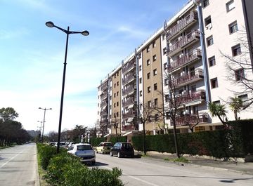 Vista