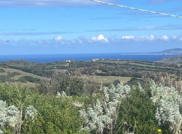 Vista