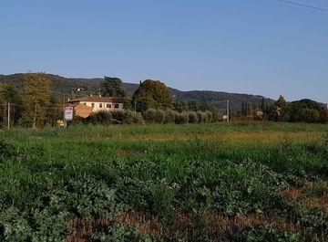 Terreni agricoli in vendita a Arezzo Casa.it