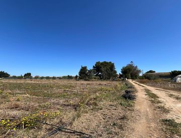 Giardino - Terreno agricolo in Vendita in Via della Foresta a Misiliscemi