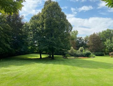 Giardino - Trilocale in Affitto in Via Bolognina a Bedizzole