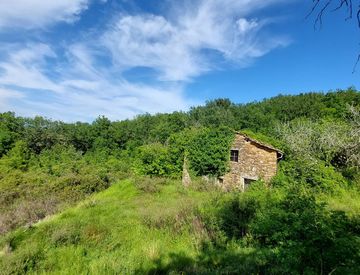 Foto 1 di 27 - Terreno edificabile in Vendita in Strada Comunale del Piano a Pietrabruna