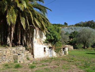 Foto 1 di 7 - Rustico, casale in Vendita in Vicolo cava a Ceriana