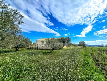 Giardino - Villa in Vendita in Via San Giacomo a Modica