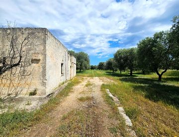 Giardino - Rustico, casale in Vendita a Carovigno