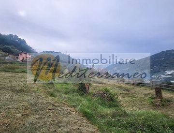 Foto 1 di 12 - Terreno edificabile in Vendita in Strada Madonna del Carmine a Vallebona