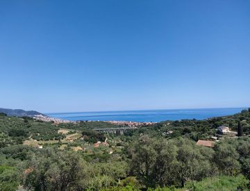 Foto 1 di 13 - Terreno edificabile in Vendita in zona Diano Gorleri a Diano Marina