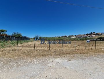 Foto 1 di 12 - Terreno agricolo in Vendita in Via Cipro a Alcamo