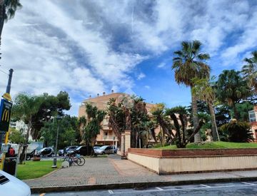 Giardino - Monolocale in Vendita in Via Paolo Boselli a Taggia