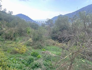 Foto 1 di 6 - Terreno edificabile in Vendita a San Biagio della Cima