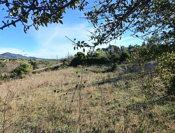 Terreno - Terreno agricolo in Vendita in Via dell'Ovile a Cerveteri