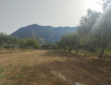 Foto 1 di 16 - Terreno edificabile in Vendita in Contrada Molinello a Alcamo