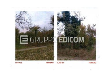 Foto 1 di 1 - Terreno agricolo in Vendita in Piazza Umberto I a San Martino al Tagliamento