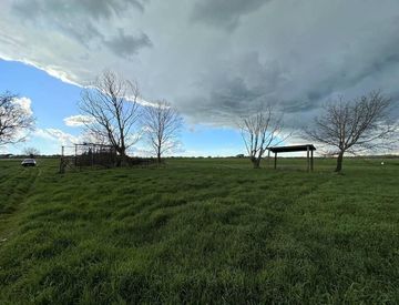 Foto 1 di 1 - Terreno agricolo in Vendita in zona Marina di Pietrasanta a Pietrasanta