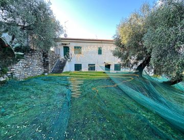 Foto 1 di 6 - Casa bifamiliare, trifamiliare in Vendita in Via Poggio a Diano San Pietro