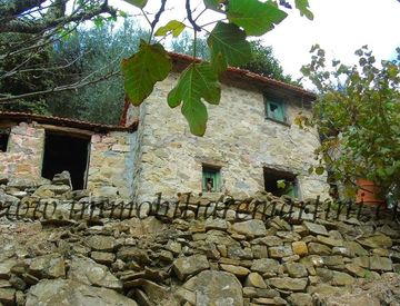Foto 1 di 15 - Casa indipendente in Vendita in campagna a Apricale