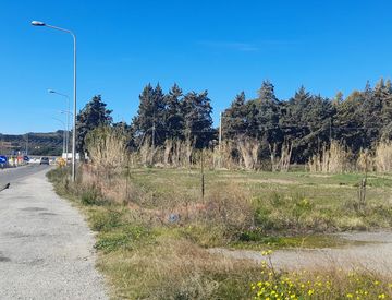 Giardino - Terreno edificabile in Vendita in Viale Uria 2 a Sellia Marina
