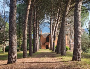 Giardino - Villa in Vendita in zona Centro a Massa Martana