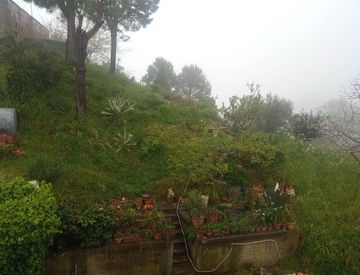 Giardino - Appartamento in Vendita in Via San Cono a Rometta