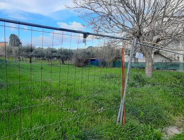 Terreno - Terreno edificabile in Vendita in Via Fedele Gualdoni a Roma
