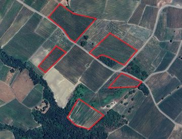 Vista - Azienda agricola in Vendita a Santa Maria della Versa