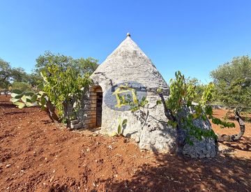 Foto 1 di 27 - Baita, bungalow, chalet, trullo in Vendita in Via Turi a Castellana Grotte