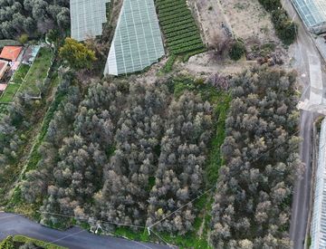 Foto 1 di 7 - Terreno agricolo in Vendita in Via Gallina a Bordighera