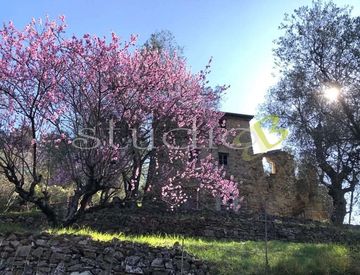 Giardino - Rustico, casale in Vendita in Via Generale Vincenzo Rossi a Bordighera