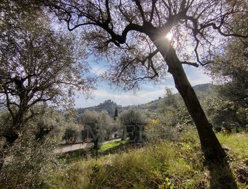 Foto 1 di 8 - Terreno agricolo in Vendita in Via delle Otto Case a Ventimiglia