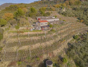 Foto 1 di 25 - Rustico, casale in Vendita a San Biagio della Cima