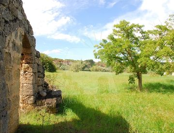 Giardino - Casa indipendente in Vendita in Sp 274 a Presicce-Acquarica