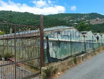 Foto 1 di 2 - Terreno agricolo in Vendita in Argine Sinistro a Taggia